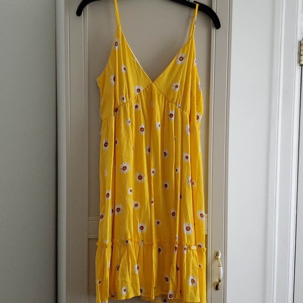 Alicia Dimichele Daisy dress